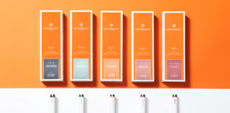 Canndescent Stylus Ready-to-Use Canndescent Q4STUDIO ASSORTED VAPE mg magazine