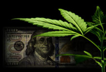 High-Ranking Dems Join Board of Cannabis Investment Firm
