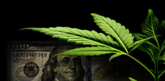 High-Ranking Dems Join Board of Cannabis Investment Firm