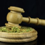 Cannabis Reform Bills: What Industry Insiders Think
