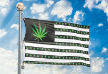 The State of Legal Marijuana Markets, 2019 Update Legal Cannabis Flag