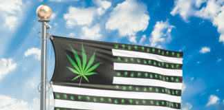The State of Legal Marijuana Markets, 2019 Update Legal Cannabis Flag