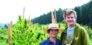 Letting the Sunshine in at Sunboldt Grown Farms Sunshine Johnston mg magazine