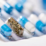 Pharmacies Vs. Dispensaries: the Future of MMJ cannabis as pharmaceutical