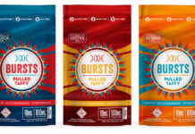 Dixie Brands (the Power of a Brand): Understanding and Addressing the Market