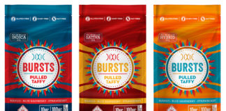 Dixie Brands (the Power of a Brand): Understanding and Addressing the Market