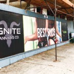 Ignite (the Power of a Brand): The Maverick Effect