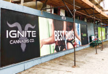 Ignite (the Power of a Brand): The Maverick Effect