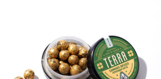 KIVA Confections (the Power of a Brand): Community Outreach