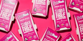 KushyPunch releases the first cannabis infused sugar-free gummy