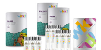 Weekend Unlimited (the Power of a Brand): Strategically Investing in Fun WKND UNLIMITED Prerolls web mg magazine