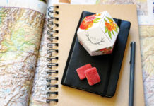 WYLD (the Power of a Brand): Encouraging an Adventurous Spirit WYLD pomIG5 web ng magazine