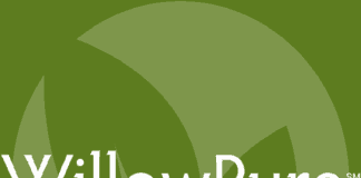 Willow Industries Closes First Institutional Funding Round to Accelerate Roll-Out of Its Cannabis and Hemp Decontamination Technology