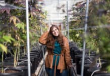 Social Media Tips From GanjapreneurGal Natalie Nicosia ganjapreneurgal 5 web mg magazine