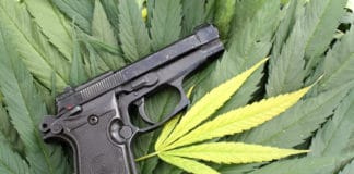 Ganja or Guns? Texas Cannabis Patients Face Difficult Choice guns marijuana texas mgretailer