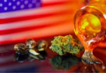 July 4 and 710 Cannabis Sales Numbers Are In 710 July 4 Headset mgretailer