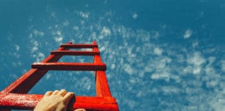 Cannabis Career Watch | New Hires and Promotions July 12, 2019 Cannabis Career watch july 12 2019 mg magazine mgretailer