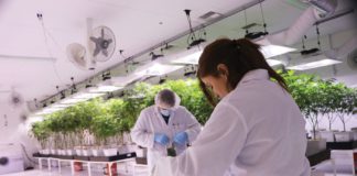 Envirocann Helps the Industry Shrink Its Carbon Footprint Envirocann