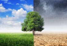 Mother Nature Is a Thief, Evaporating Millions in Lost Revenue Evaporation