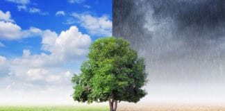 Mother Nature Is a Thief, Evaporating Millions in Lost Revenue Evaporation