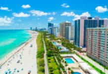 Florida Cannabis Officials Overruled on Appeal Florida cannbis mgretailer