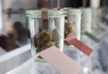 Dispensaries Find Pros and Cons in Growing Their Own Flower Harmony Dispensary Buds web MGmagazine