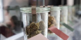 Dispensaries Find Pros and Cons in Growing Their Own Flower Harmony Dispensary Buds web MGmagazine