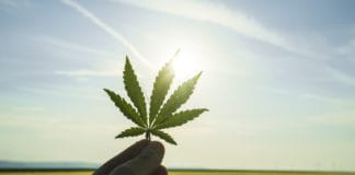 Tiger Reef Announces Marketing Program Targeting Cannabis Cultivators Tiger Reef PR mg magazine mgretailer