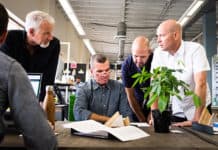 Green Growth Brands Announces $310M Securities Acquisition green growth brands