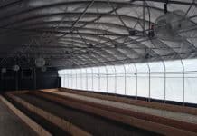 Smart Growing: Light-Deprivation Without Budget-Deprivation light deprivation 2