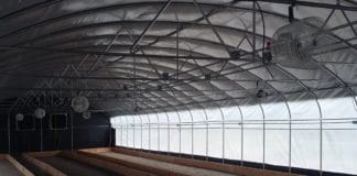 Smart Growing: Light-Deprivation Without Budget-Deprivation light deprivation 2