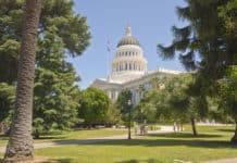 California Increases Fines, Struggles with Illegal Cannabis Businesses sacramento bureau cannabis control