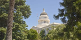California Increases Fines, Struggles with Illegal Cannabis Businesses sacramento bureau cannabis control