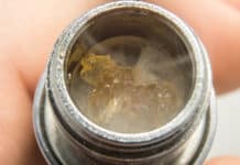 8 Great Cannabis Vaporizers to Boost Seasonal Sales Cannabis Vaporizers mgretailer August