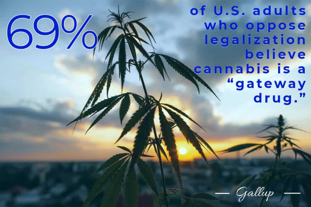 Cannabis statistics-1-August 2019-mg magazine-mgretailer