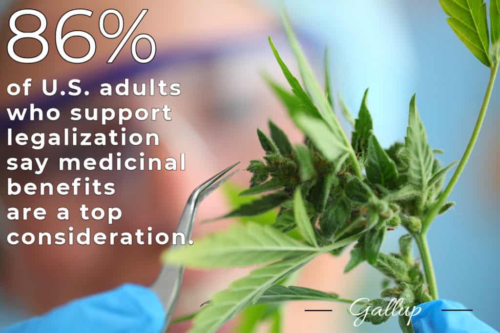 Cannabis statistics-2-August 2019-mg magazine-mgretailer
