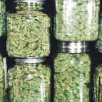 Colorado Cannabis Market Continues Shift Toward Recreational Sales Colorado Recreational Cannabis Sales mgretailer