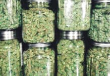 Colorado Cannabis Market Continues Shift Toward Recreational Sales Colorado Recreational Cannabis Sales mgretailer