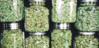 Colorado Cannabis Market Continues Shift Toward Recreational Sales Colorado Recreational Cannabis Sales mgretailer