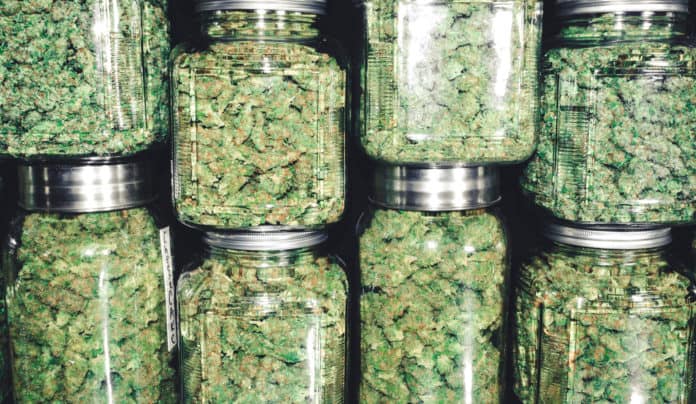 Colorado Recreational Cannabis Sales mgretailer