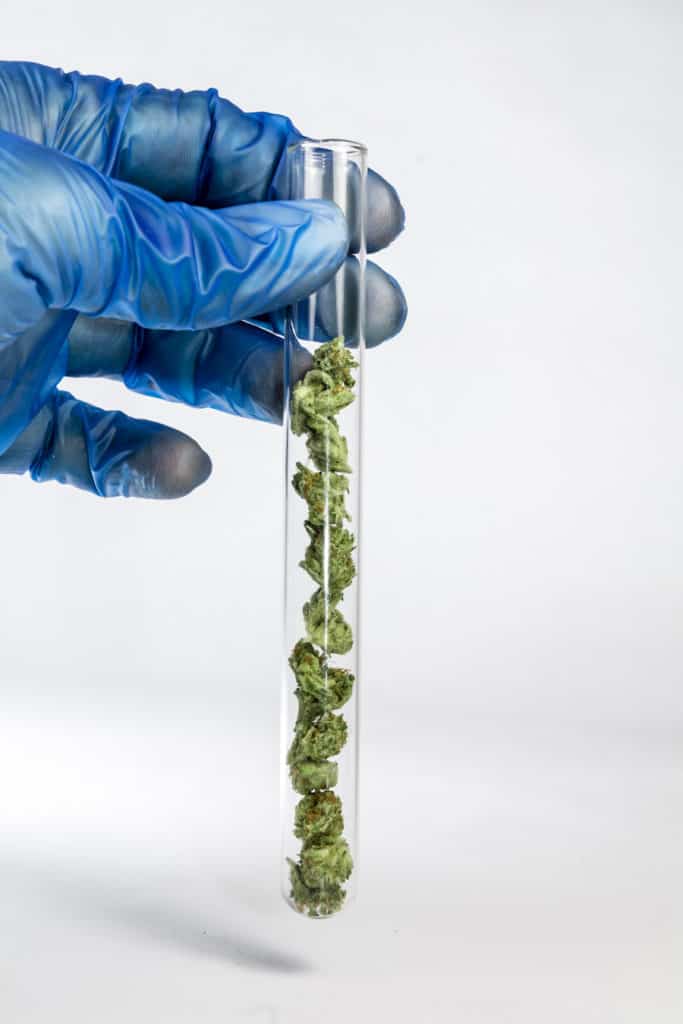 test-tube-filled-with-cannabis-mg-magazine