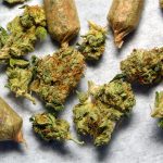 Cannabis Legalization Measures Qualify for 2020 Ballot in Two States Cannabis-Legalization-South-Dakota-Mississippi-2020-mg-magazine-mgretailer-cannabis-news