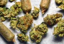 Cannabis Legalization Measures Qualify for 2020 Ballot in Two States Cannabis-Legalization-South-Dakota-Mississippi-2020-mg-magazine-mgretailer-cannabis-news