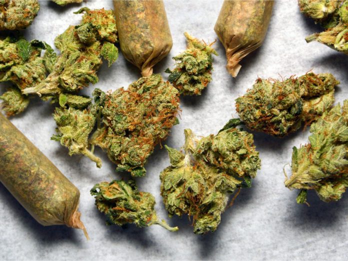 Cannabis-Legalization-South-Dakota-Mississippi-2020-mg-magazine-mgretailer-cannabis-news