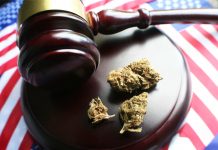 Congress to Consider Multiple Cannabis Reform Bills in Subcommittee Hearing Congress-Cannabis-Reform-Bills-mg-magazine-mgretailer-cannabis-news