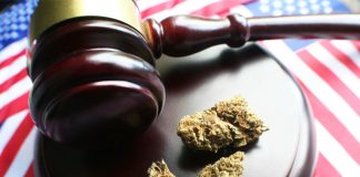 Congress to Consider Multiple Cannabis Reform Bills in Subcommittee Hearing Congress-Cannabis-Reform-Bills-mg-magazine-mgretailer-cannabis-news