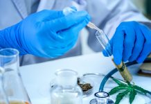 Researchers Discover Two New Cannabinoids Delta-9-THCP-and-CBDP-cannabinoids-mgretailer