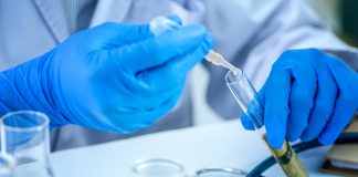 Researchers Discover Two New Cannabinoids Delta-9-THCP-and-CBDP-cannabinoids-mgretailer