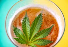 Grand View Research Report Predicts Bright Future for Infused Beverages Infused-Beverages-Market-Report-mg-magazine-mgretailer