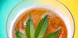 Grand View Research Report Predicts Bright Future for Infused Beverages Infused-Beverages-Market-Report-mg-magazine-mgretailer